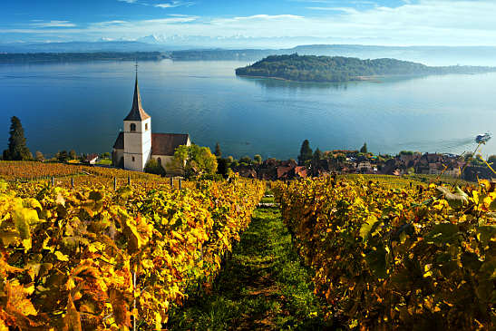 Lavaux vineyard terraces along Lake Geneva