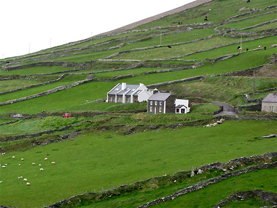 typical Irish landscape