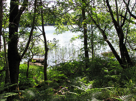 Arnolds Hotel grounds with lake in the background