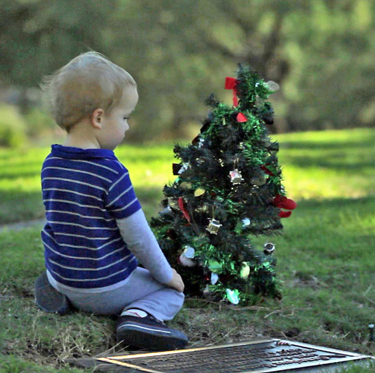 Isaac with Christmas tree