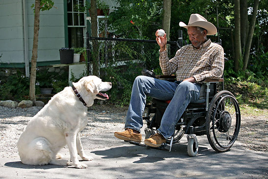 Morgan Freeman as wheelchair-bound Monte Wildhorn in a scene from the movie 'The Magic of Belle Isle'