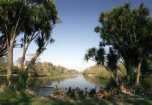 Temple Water garden