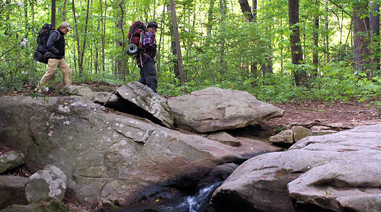 Robert REdford and Nick Nolte on a hike from the movie 'A Walk in the Woods'