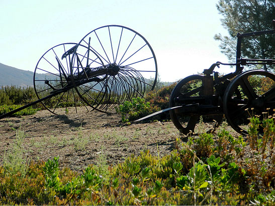 farming equipment on a winery in Baja California