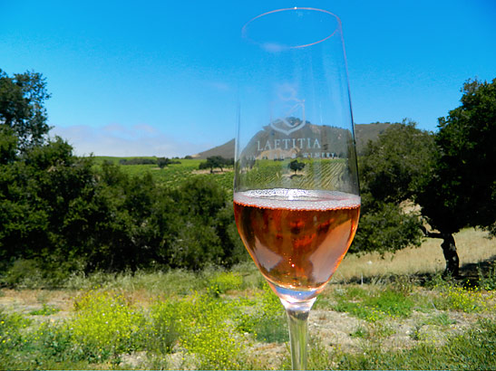 a glass of Laetitia Rose sparkling wine at the Laetitia Winery