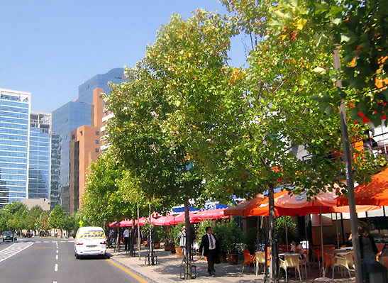 scene along a tree-lined street, Santiago, Chile