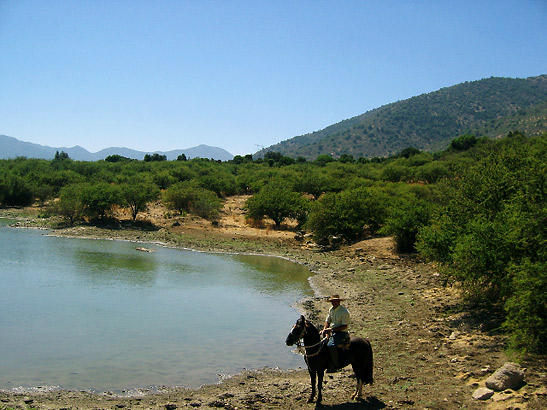 view along one of the horse trails above the Hacienda Los Lingues