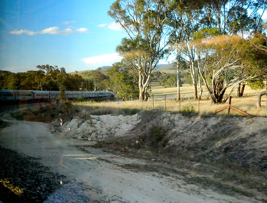 view of eucalyptus trees on a central Australian countryside from an Indian Pacific train