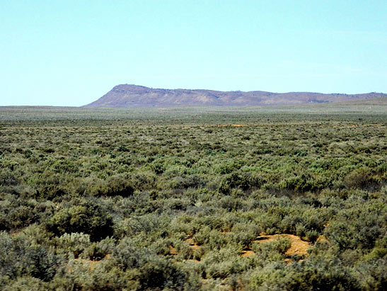 treeless plain in the great Outback, Australia