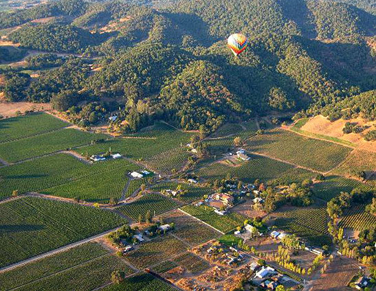 aerial view of Napa Valley from a hot-air balloon