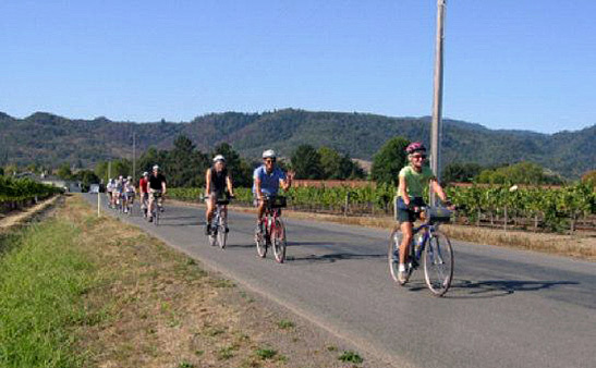 bikers on the road in Yountville