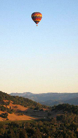 hot-air balloon over the Napa Valley