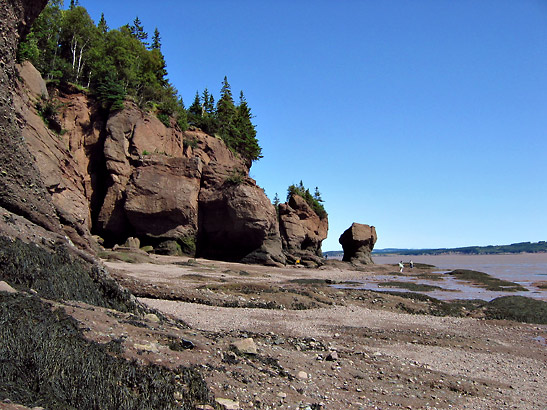 sandstone cliffs of Hopewell Rocks at low tide, New Brunswick
