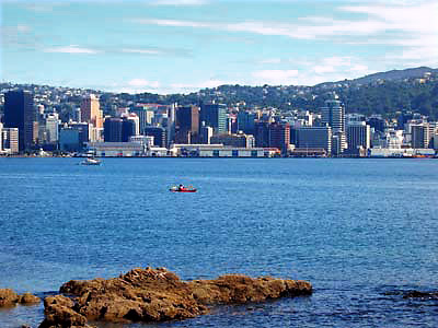 view of Wellington Harbor with the city skyline in the background