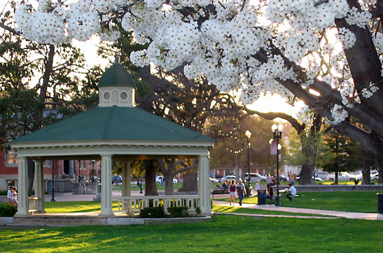 City Park, Paso Robles