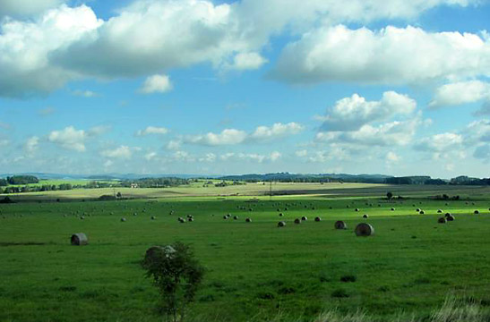 pastoral countryside, Czech Republic