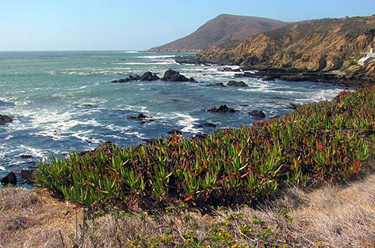 a beach scene along the Central Coast County of San Luis Obispo, California