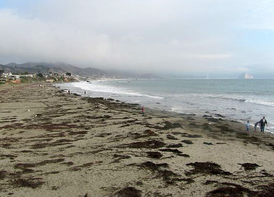 Morro Bay coast with Morro rock in the right background