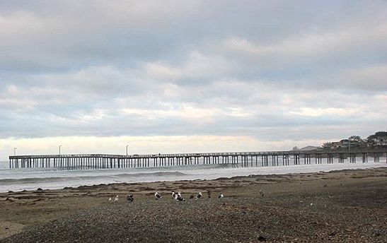 pier jutting out from the beach