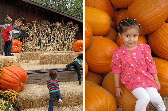 children playing at the Avila Valley Barn