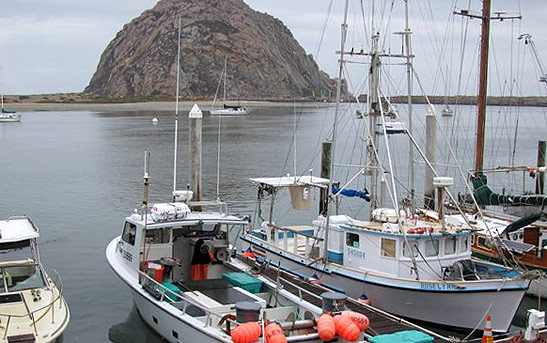 boats moored at harbor with Morro Rock in the background, Morro Bay