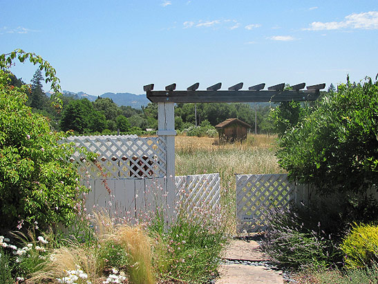 a side yard at the No Name Resort near Healdsburg, Sonoma County, California