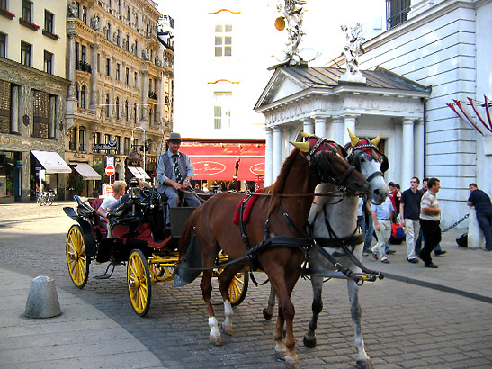 horse buggy taking visitors through the streets of Vienna