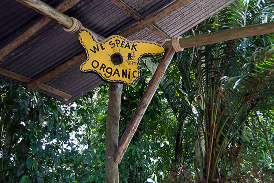 organic lifestyle sign