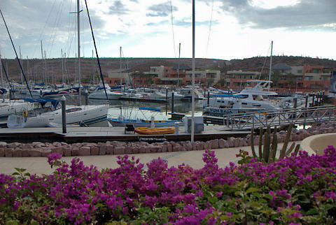 the 200-slip marina of CostaBaja Resort and Spa