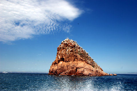 rock islet at the Sea of Cortez