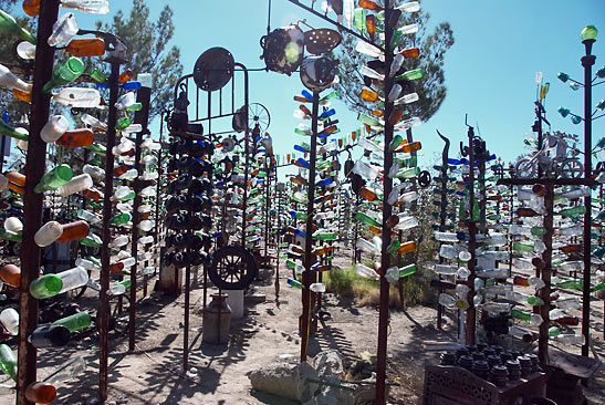 a forest of 200 bottle trees at The Bottle Tree Ranch