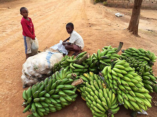 children with bananas on a Rwandan roadside