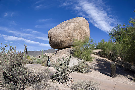 Rosie's Rock