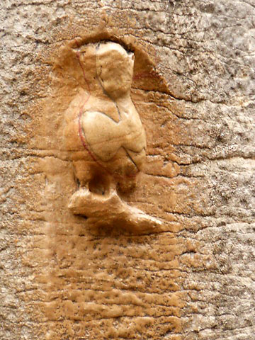 owl on cathedral wall in Dijon, Burgundy