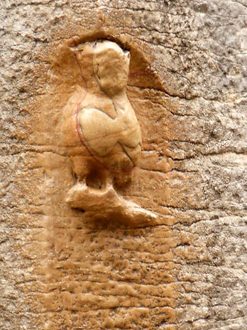 owl on cathedral wall in Dijon, Burgundy