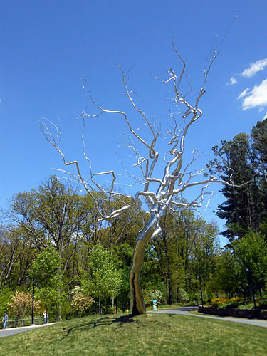 Roxy Paine's 'Yield,' a metal sculpture of a tree at the entrance of Crystal Bridges Museum of American Art, Bentonville