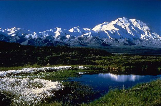 Mount McKinley with pond in the foreground, Denali National Park, Alaska