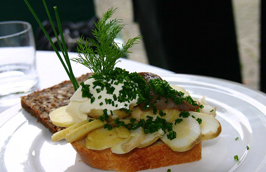 a sandwich at a Copenhagen restaurant