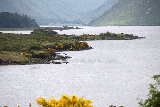 view from the shores of Lough Veagh, Glenveagh National Park, County Donegal, Ireland