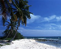 a caye at Belize