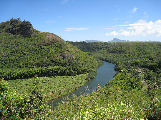 a view of the Wailua River