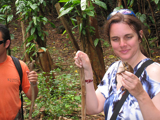 visitor with frog on one of the many orchards in Kaua'i