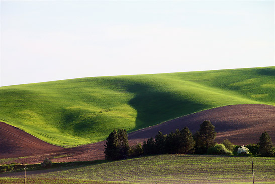 rolling hills at the Palouse Scenic Byway