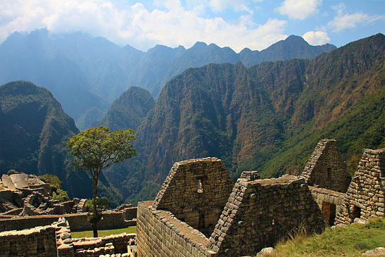 the ruins at Machu Picchu