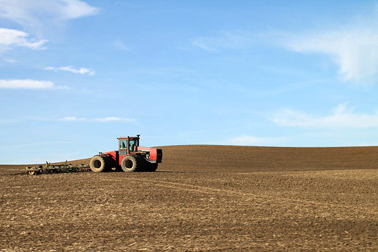 tractor in farmland, the Palouse Region