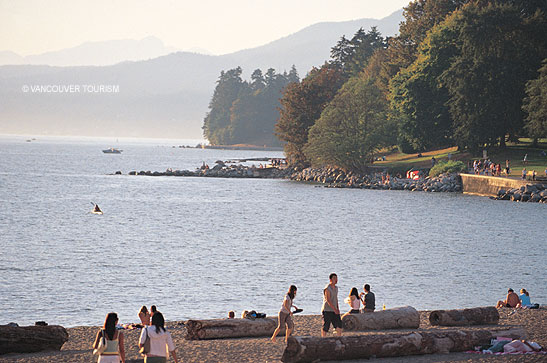 a beach in Stanley Park