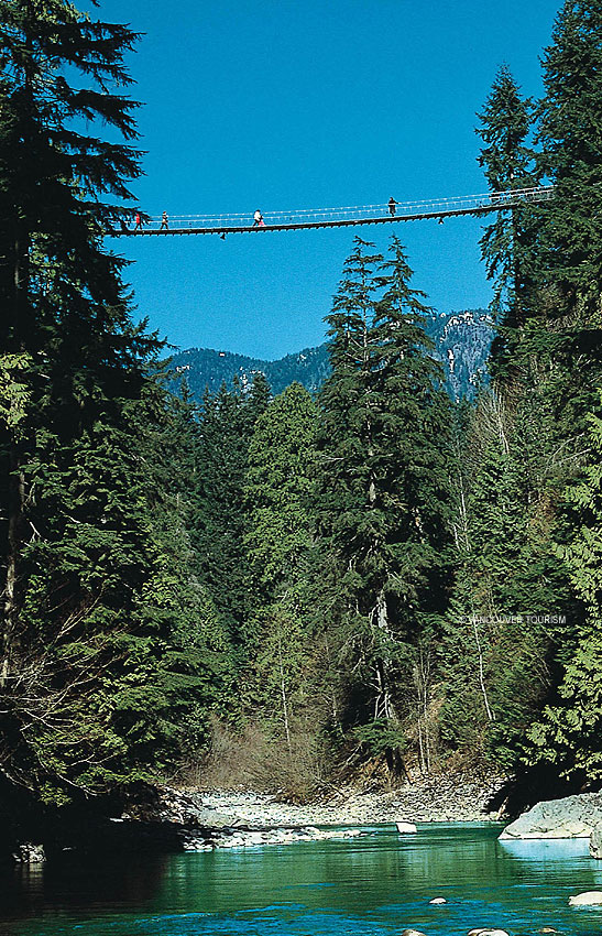 Capilano Suspension Bridge, West Coast Rainforest Park