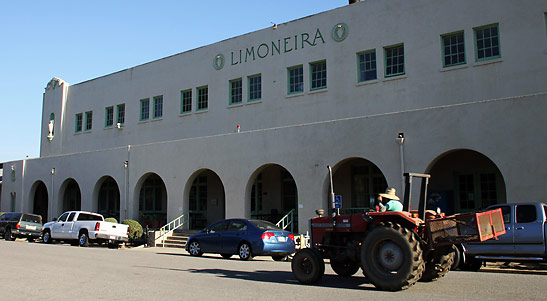 historic Limoneira