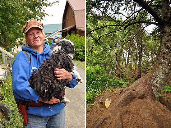 a lady with her dog and a swing on a tree, Alaska