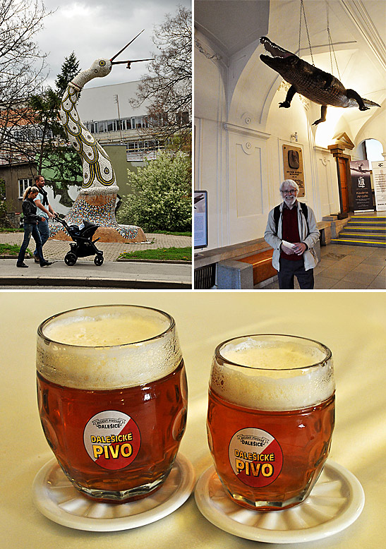a tall statue of an insect, stuffed body of the Brno Dragon - actually a crocodile - above the writers' tour guide and the famous Brno beer